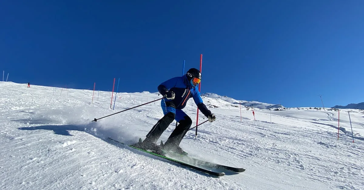 découvrez l'histoire fascinante des triplés de belleville, un récit captivant de fraternité et d'aventures uniques.