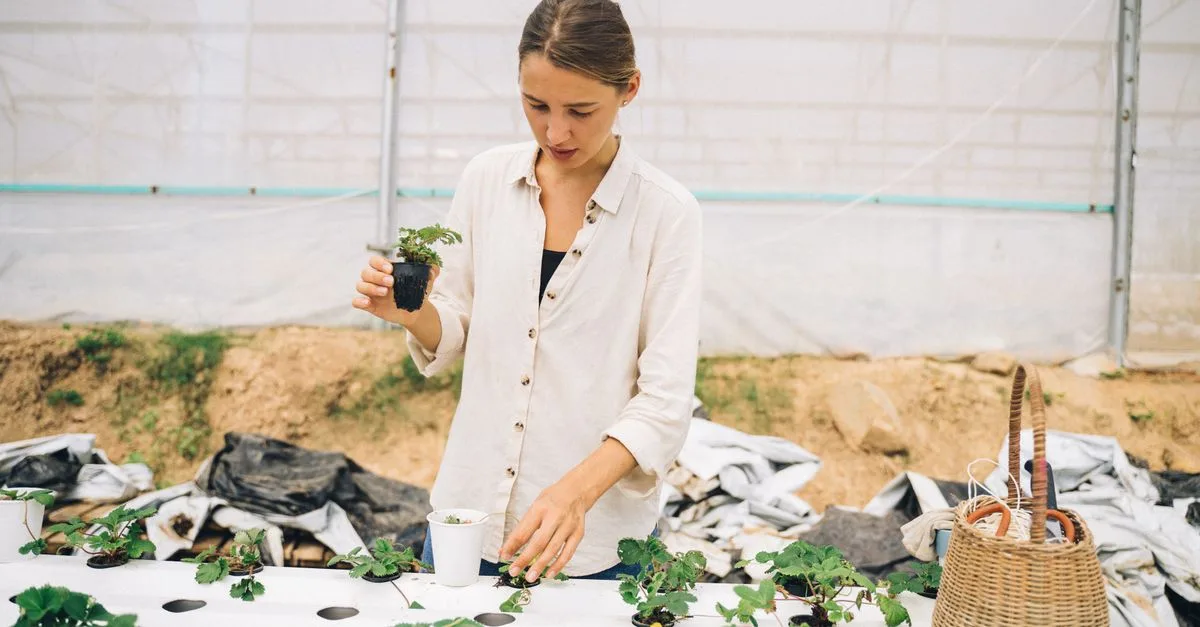 découvrez l'aquaponie, un système durable combinant aquaculture et culture hydroponique pour un jardinage écologique et efficace.