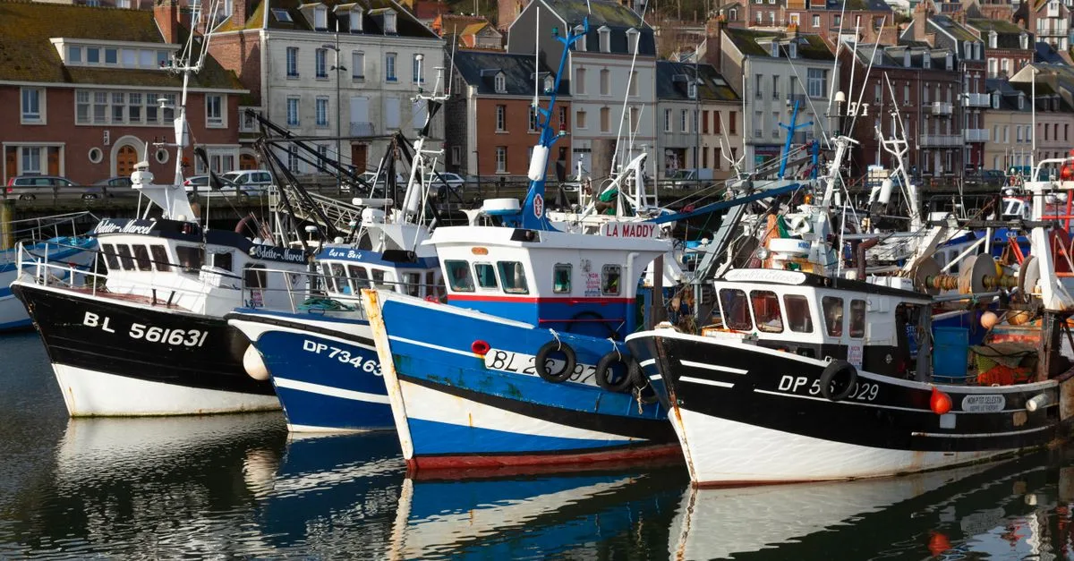 découvrez la cuisine normande, riche en saveurs authentiques, avec ses produits frais de la mer et ses spécialités régionales comme le camembert, les fruits de mer et le cidre.